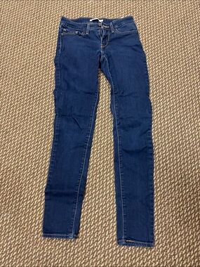Levi's Dark Indigo Skinny Jeans